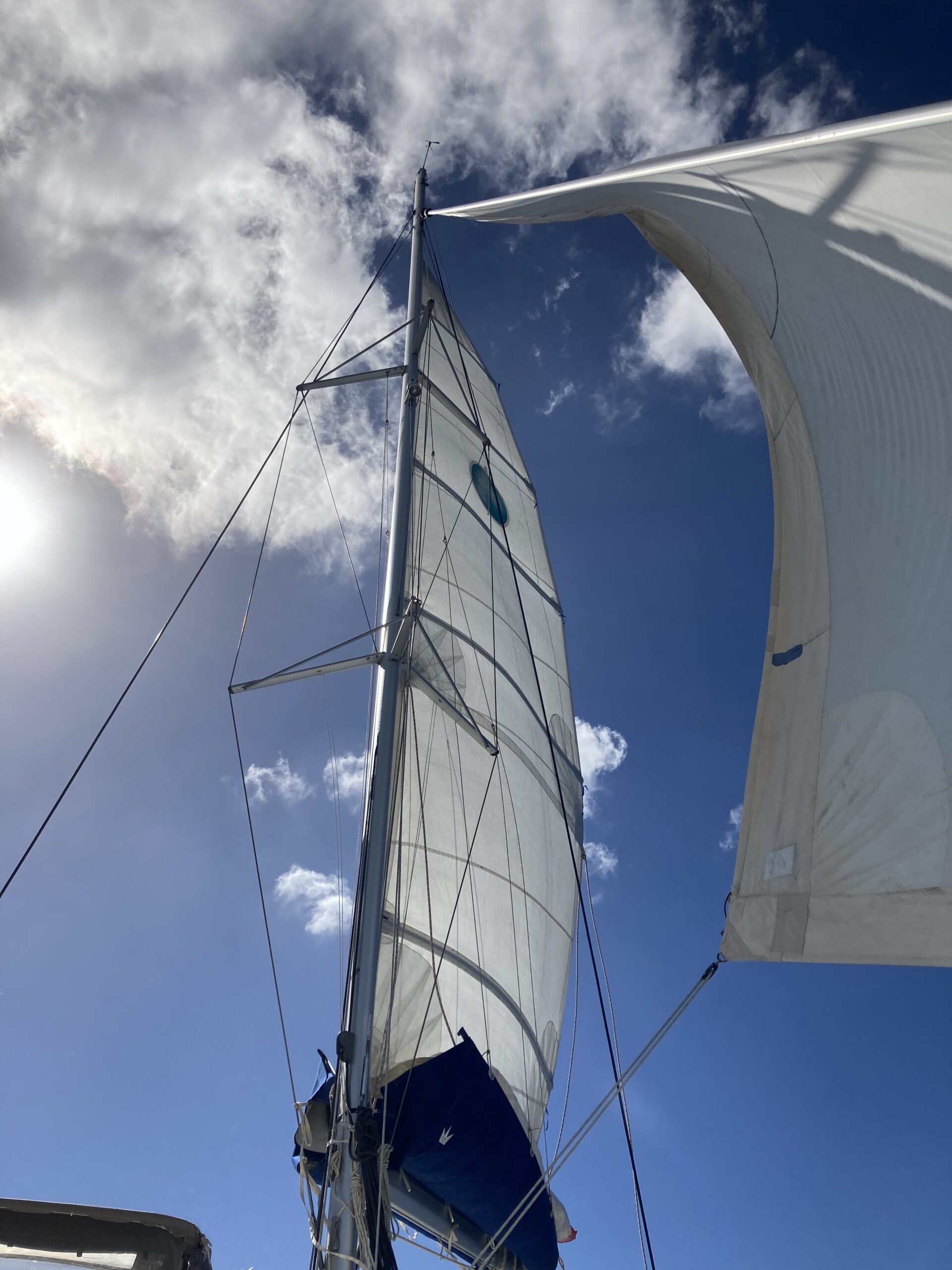 Voiles du catamaran Grain2Ris